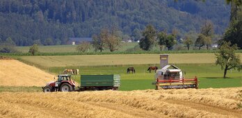 TRAVAUX PUBLICS ET AGRICOLE CARRET Vincent